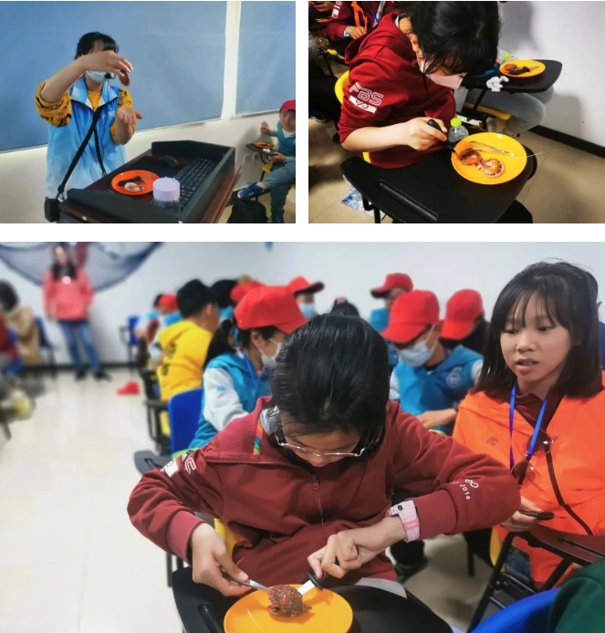 臨海致遠(yuǎn)·揚(yáng)帆島城——威?！で鄭u研學(xué)