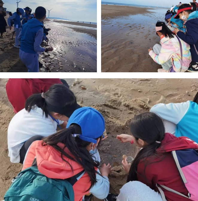 臨海致遠(yuǎn)·揚(yáng)帆島城——威?！で鄭u研學(xué)