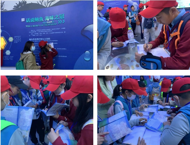 臨海致遠(yuǎn)·揚(yáng)帆島城——威?！で鄭u研學(xué)